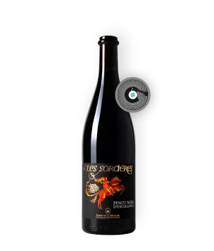 Connected wine bottles